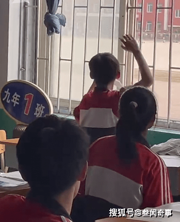 男英语老师怎么样 2c56d7e796a142029e5d8957c9194825.png