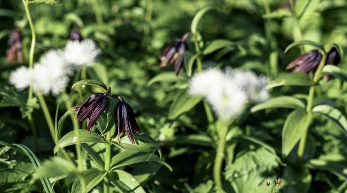 机会从来不是等来的,空调业今年并没有失去什么!-家电圈官网