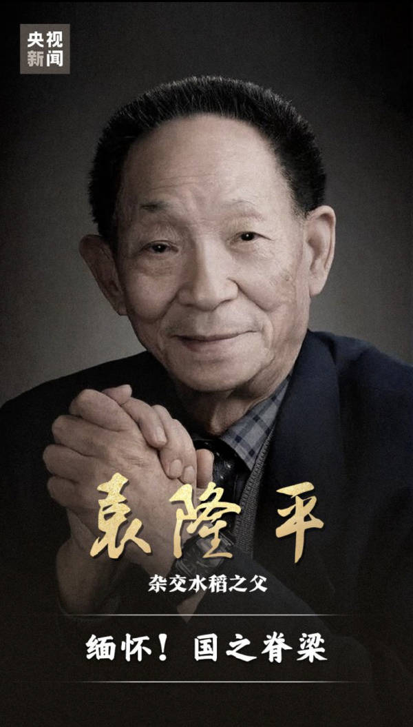 鹿晗贾玲刘涛等众星悼念袁隆平 一粥一饭当思来之不易