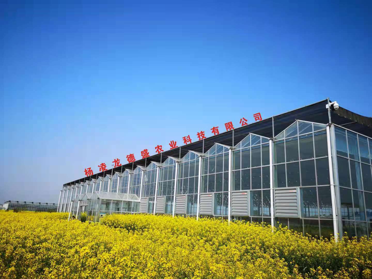 引进,推广,销售于一体的农业科技公司