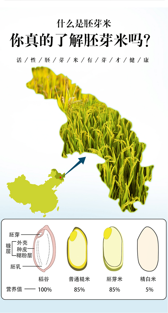 芽芽乐胚芽米,健康生活新选择