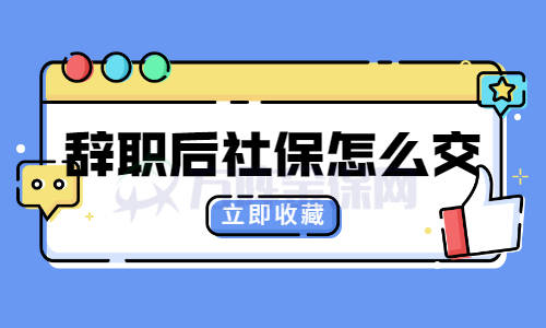 辭職後社保怎麼交?要這麼做