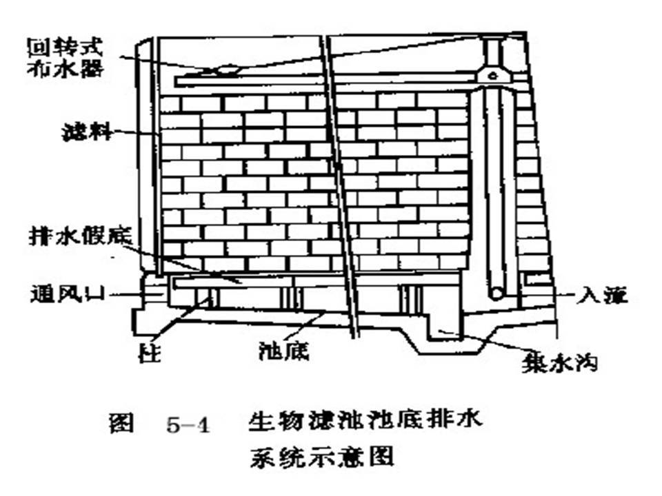 什么是生物滤池