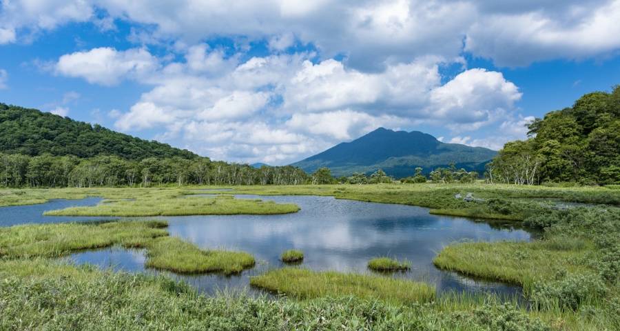 小家电的黄金周期还能继续吗?-家电圈官网