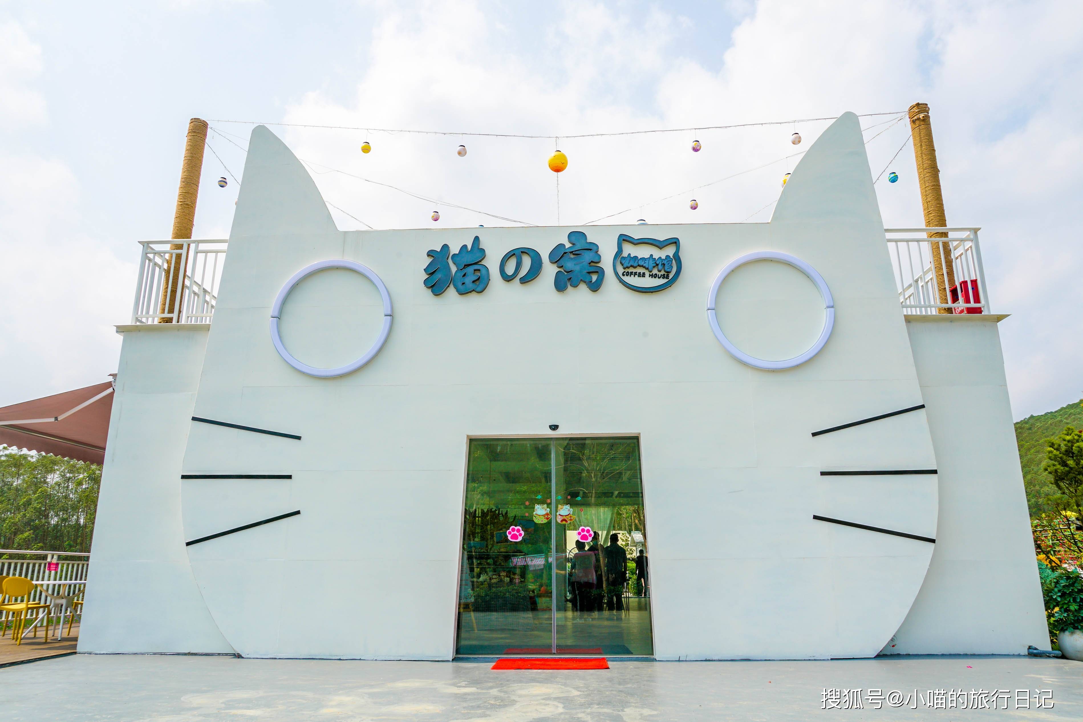 猫爪谷肇庆森林童话放松记