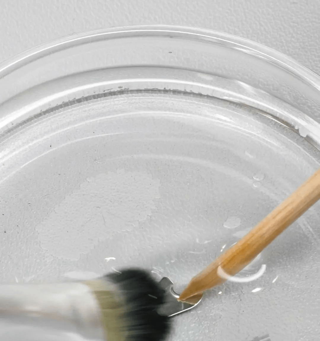 ���������:��ֵ����������������?