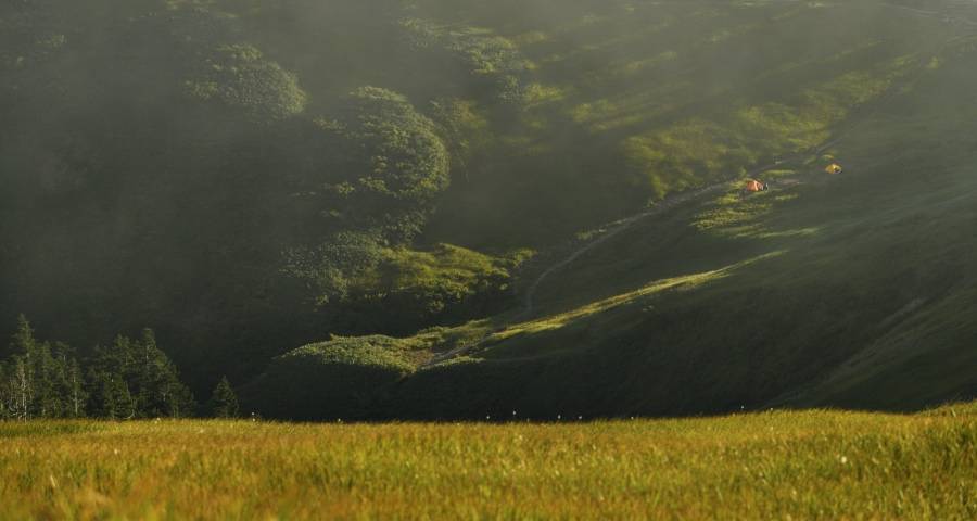 当前家电产业的渠道下沉有误区！-家电圈官网