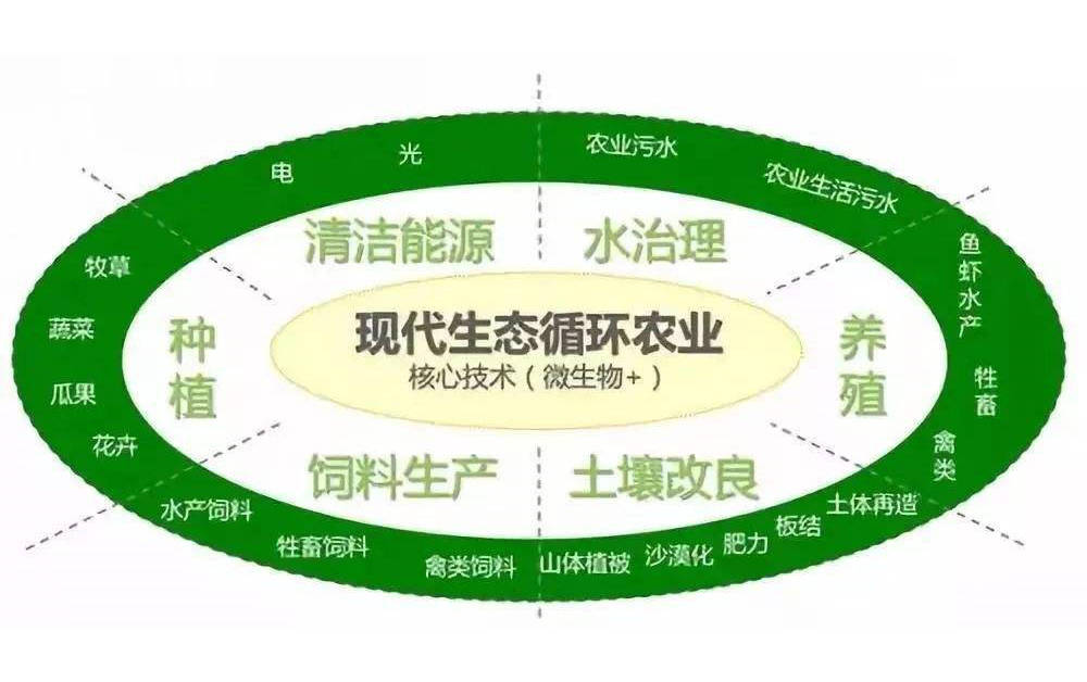 六大要素请记牢为发展生态循环农业指明道路