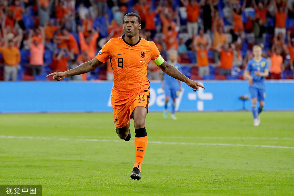 高清图:荷兰vs乌克兰 维纳尔杜姆破门吐舌庆祝