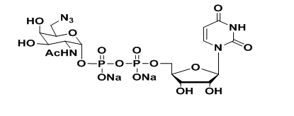 疊氮修飾n-乙酰半乳糖胺多肽n-乙酰氨基半乳糖轉移酶cas7277-98-7udp