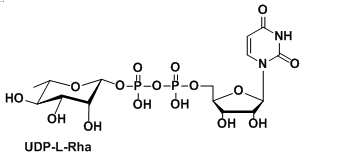 α-l-鼠李糖结构式图片