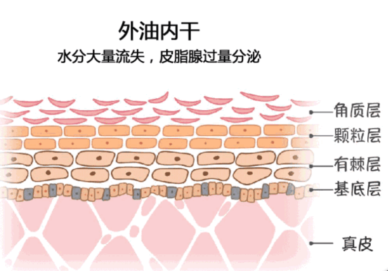 91fe077bd5634b09832a8847ae966611.png