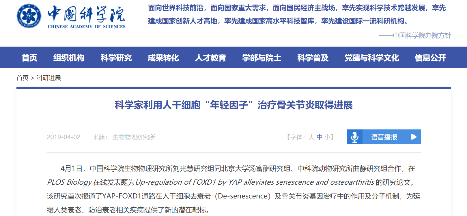 多项临床研究证实关节腔内直接注射干细胞对膝关节炎有肯定的治疗作用