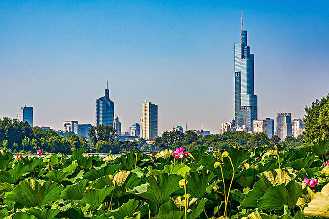 湖泊|南京玄武湖