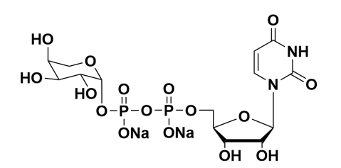 udp-l-arabinose,udp-阿拉伯糖,齐岳cas 15839-78-8_葡萄糖