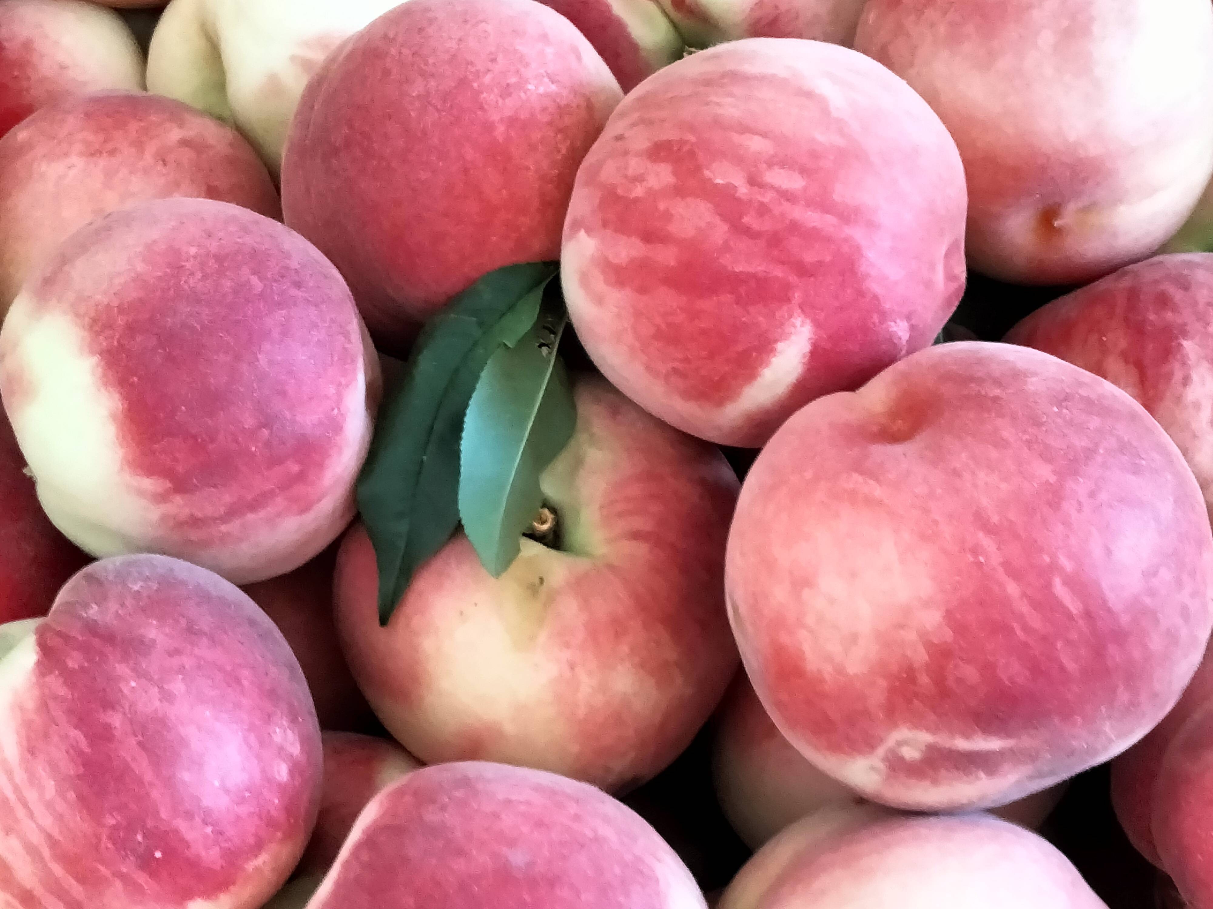 兴平马嵬街道大红桃铺就群众致富路