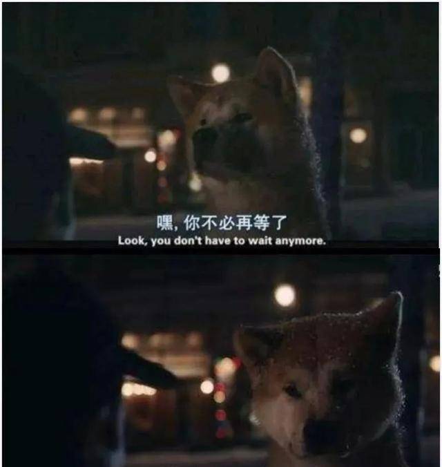 舔狗的爱情故事电影 2ff3c1432da1412b80bb7f1b6afce649.jpeg