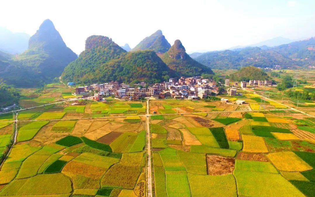 广西阳朔县福利镇中心校党总支部开展主题党日活动