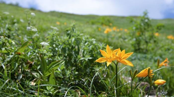 追求线上引流直播卖货，家电实体店不如先搞定身边的社群生意-家电圈官网