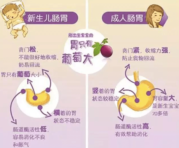 ab0cad430c3e46bea2d86ae8530283b1.png