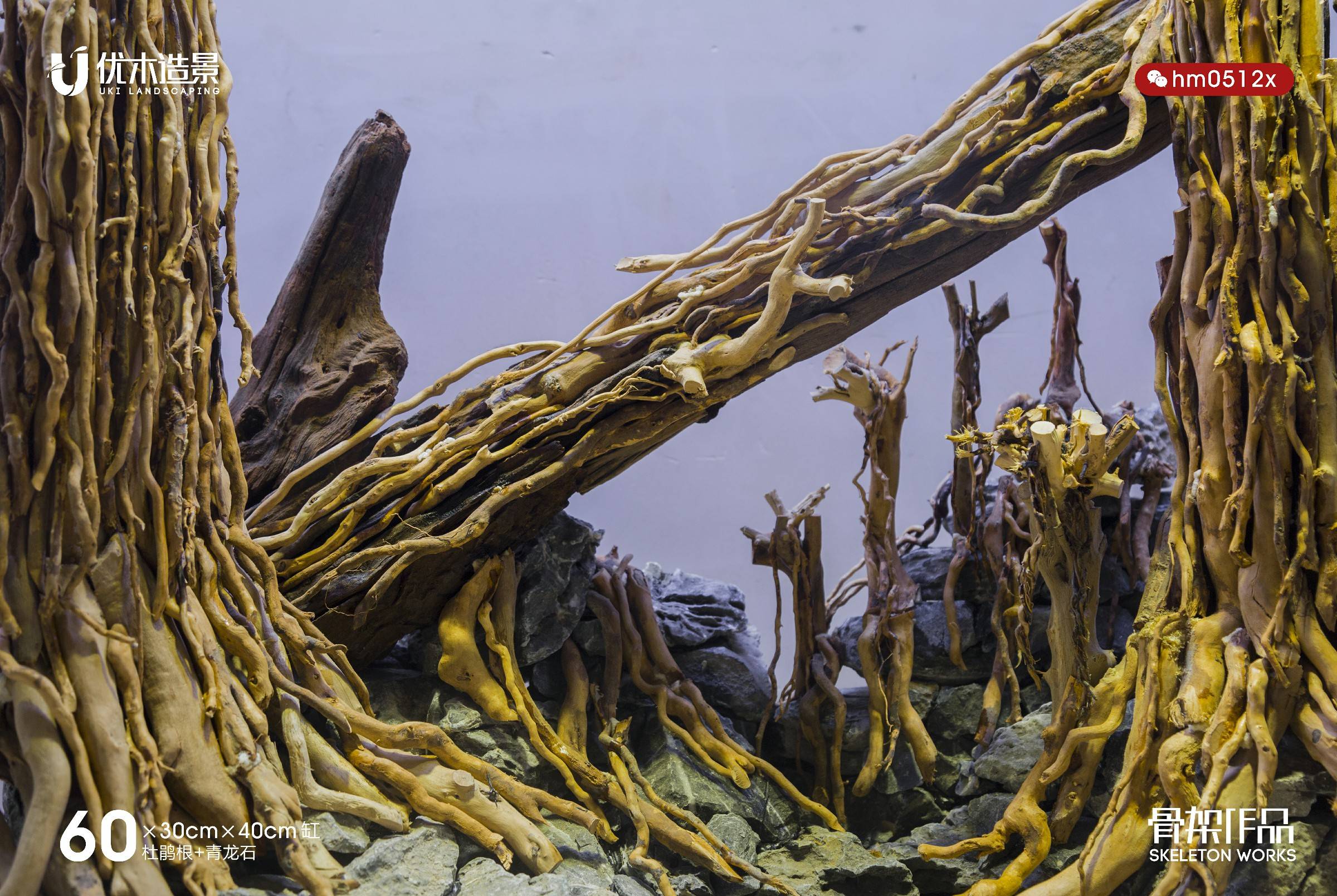 定制的一款印尼六零小缸赛级的杜鹃根草缸造景骨架