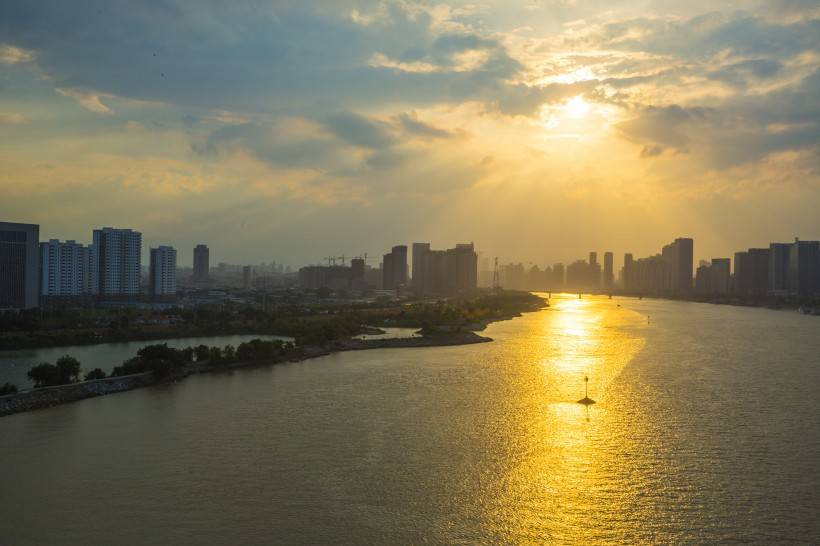 老子|性子急的人千万别养柯基，别问我为什么……