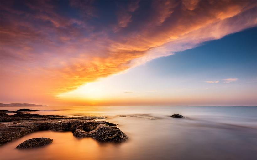 老子|性子急的人千万别养柯基，别问我为什么……