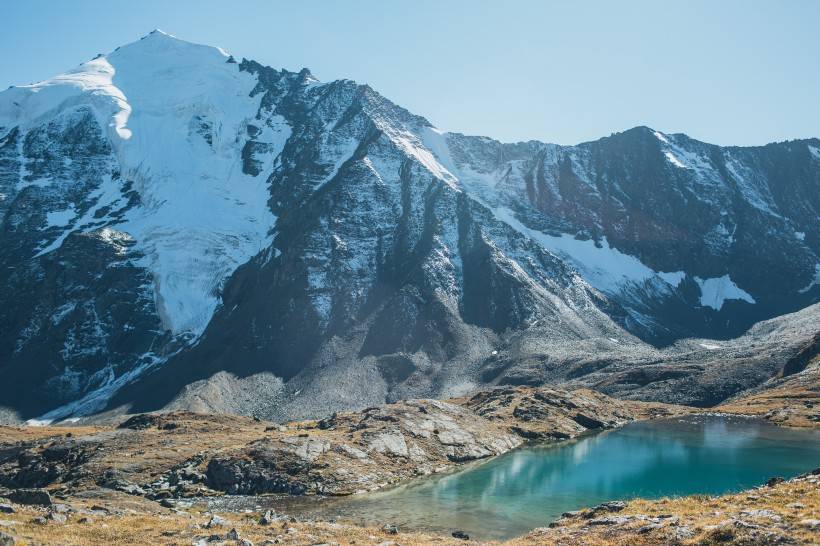老子|性子急的人千万别养柯基，别问我为什么……