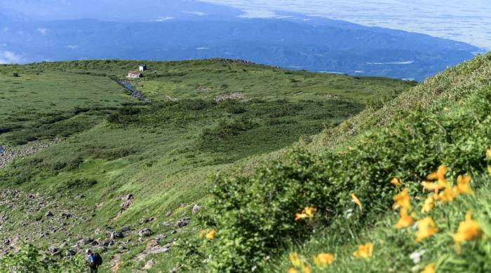 比假货更为可怕！那些打着大名牌名义的劣质低价家电-家电圈官网