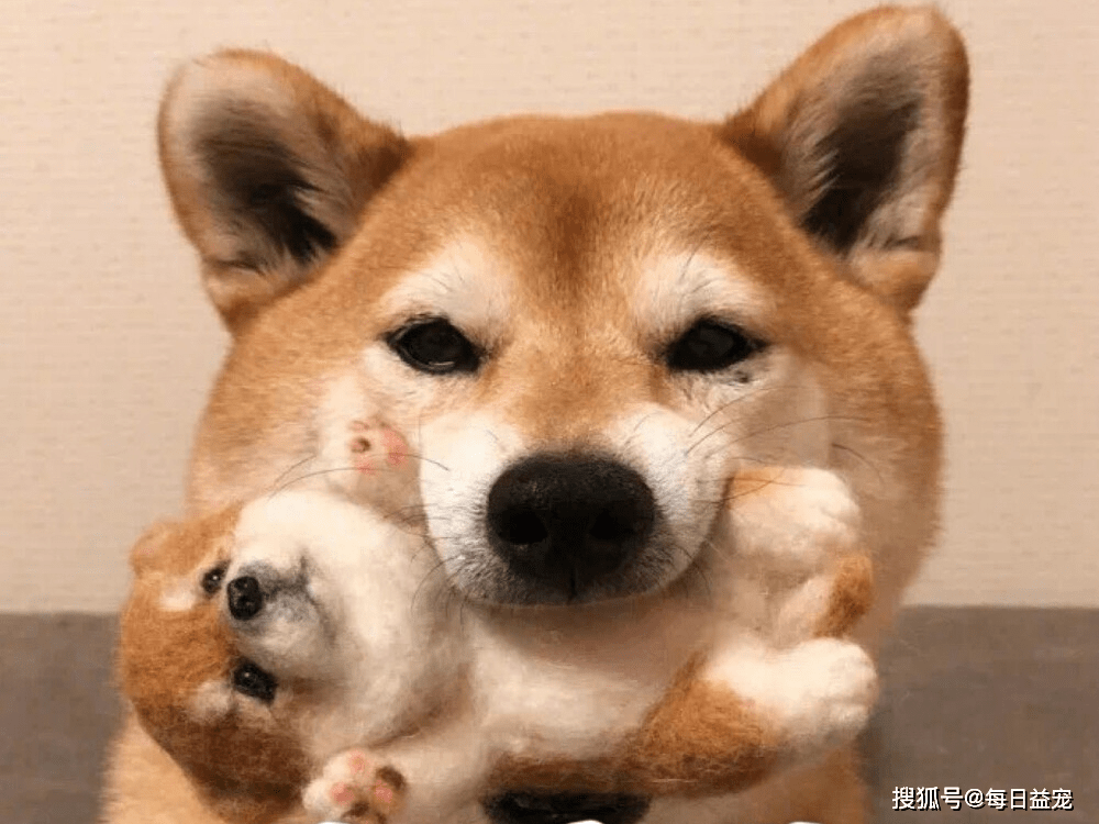 03af3896cb264c33bd2f3ed103e7aa2c.png