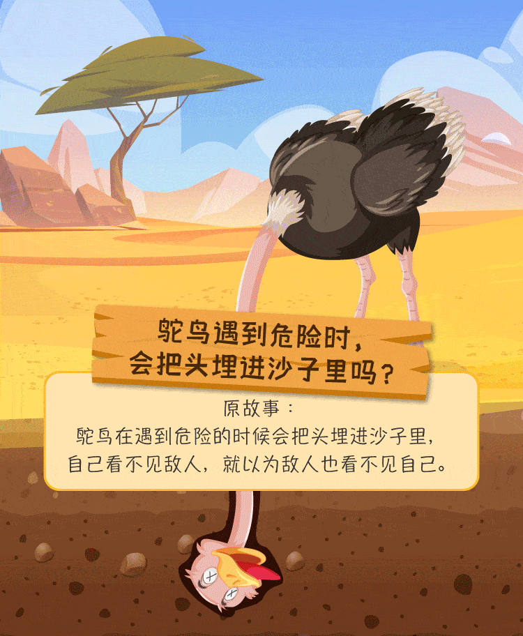 鸵鸟遇到危险时,会把头埋进沙子吗?_锁定