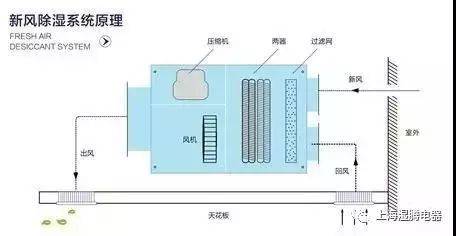 为什么需要专业的新风除湿系统？新风除湿效果怎么样