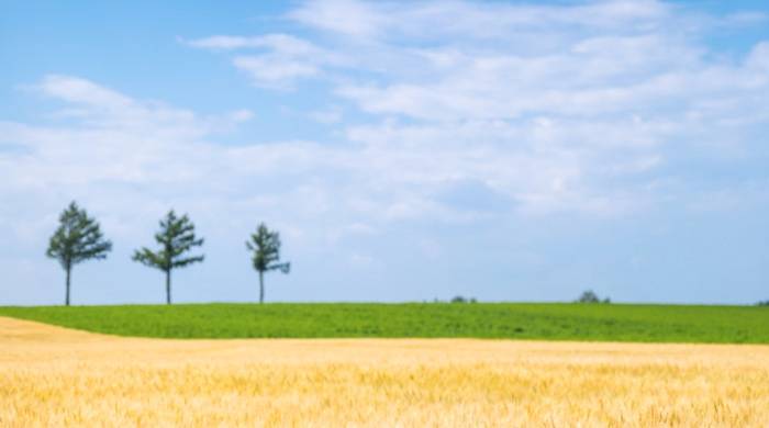 奢侈品销售上涨VS抠门小组出圈:分化的年轻消费正影响家电业-家电圈官网