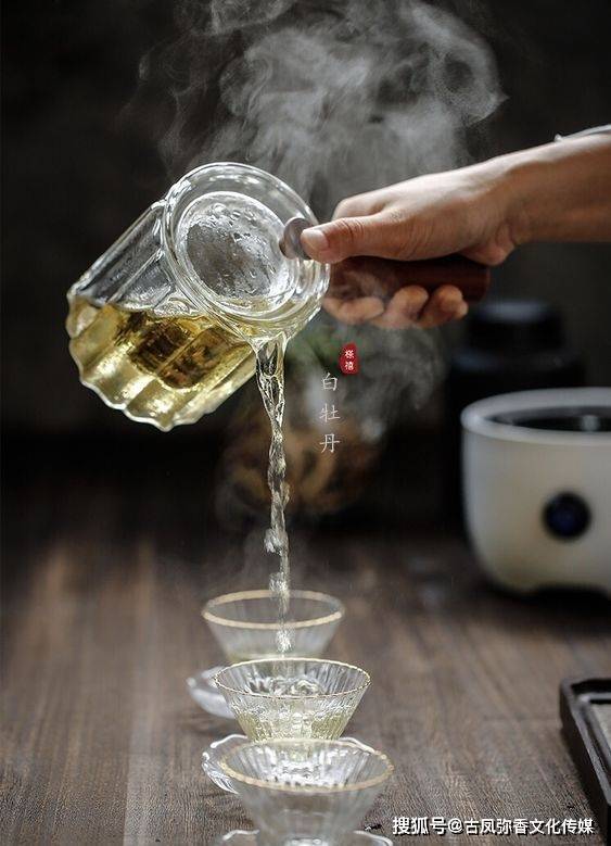 淡泊|【茶禧壹號·千谦】白牡丹