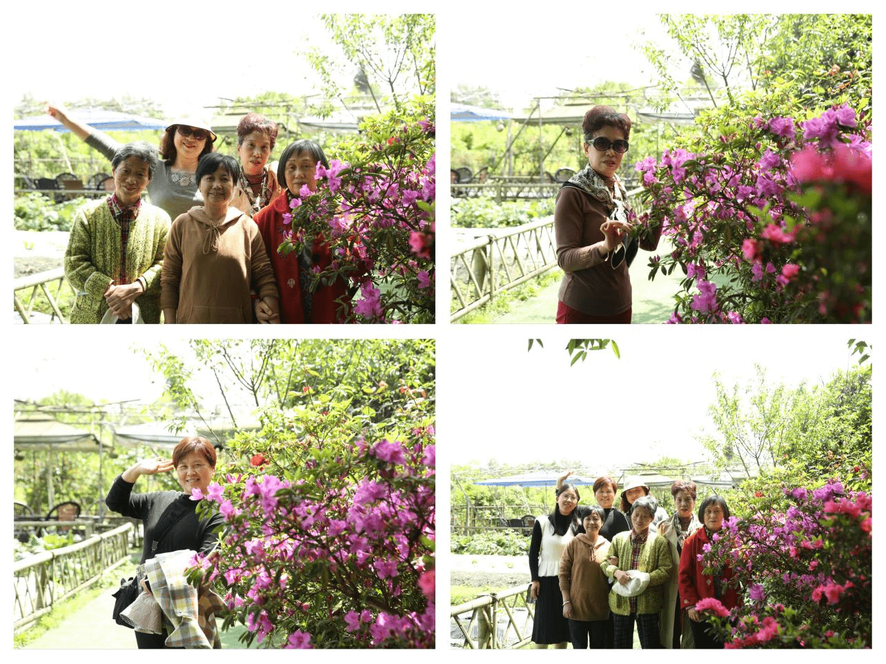 社区美学馆营造之 拾花聆风 感知春岁 感知四季美学馆 活动