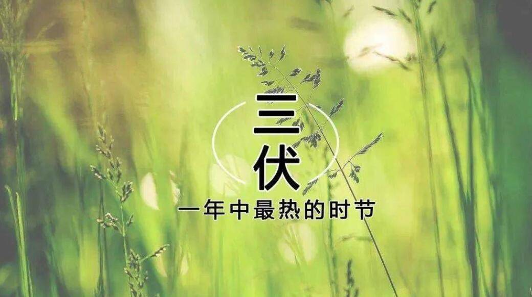 北京崇文門中醫醫院提醒:三伏消暑要適度,這些事情不要做!