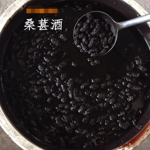 桑葚酒|82年的拉菲卖20万，那桑葚酒呢？网友：没法比，健康无价！