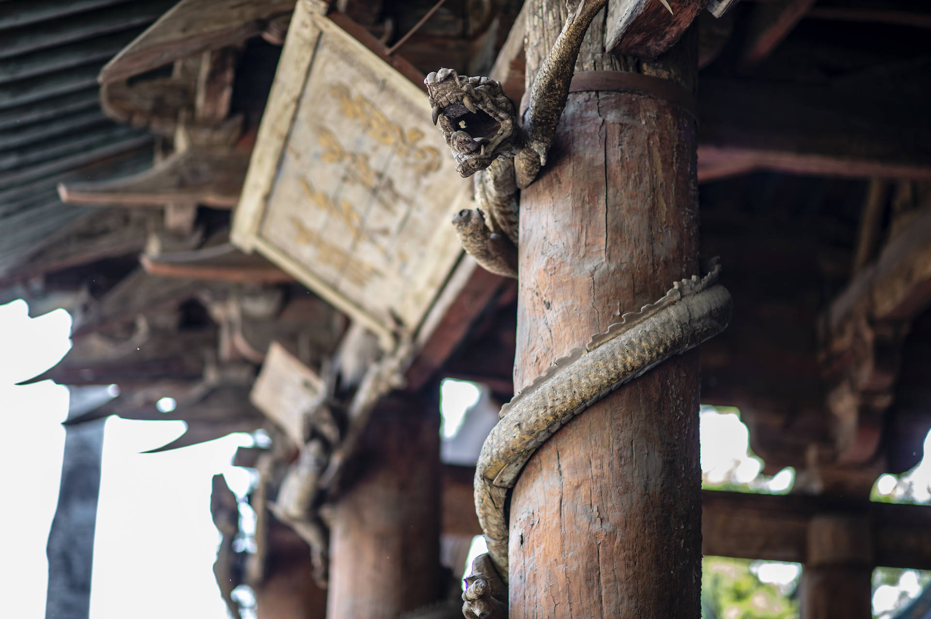 老泉|太原晋祠，这里的“三绝”不容错过