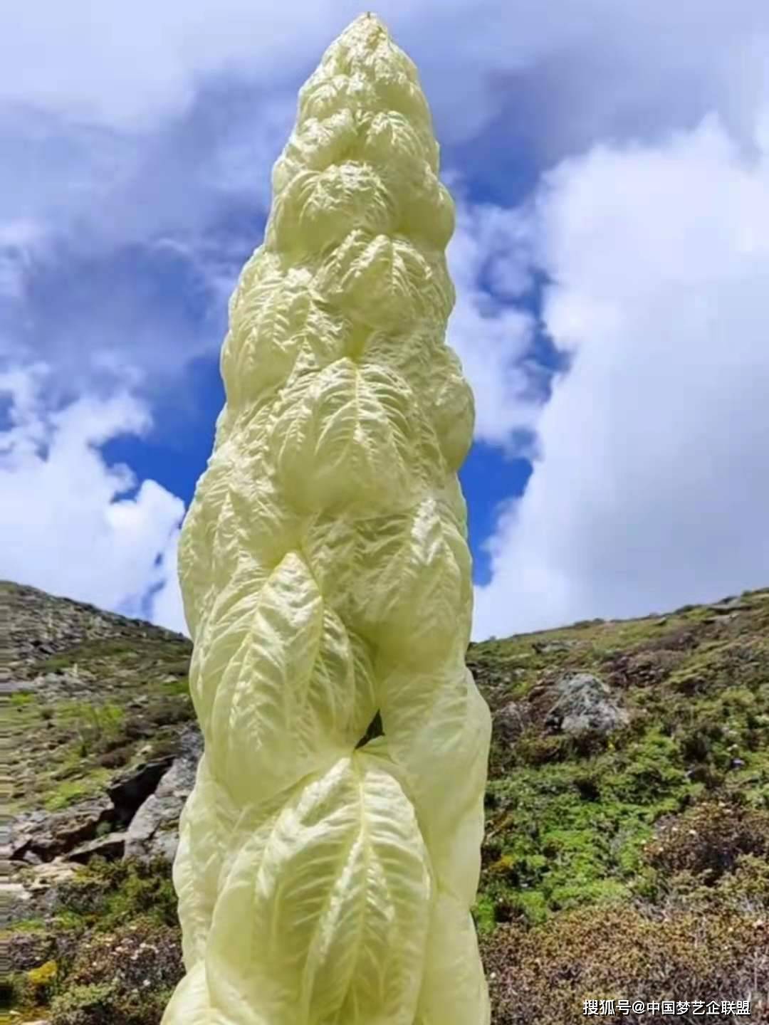 原创塔黄幽径迷人吟不尽云岩耸处指苍穹庄顺荣诗词作品