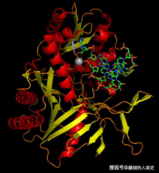 methanopyri garrity and holt 2002methanonatronarchaeia sorokin