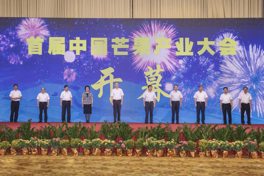 2021年首届中国芒果产业大会在百色举办