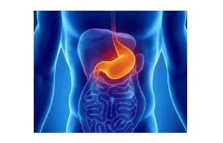 造影剂|胃肠也能做B超？专家：有其特有优势，适合七大类情况