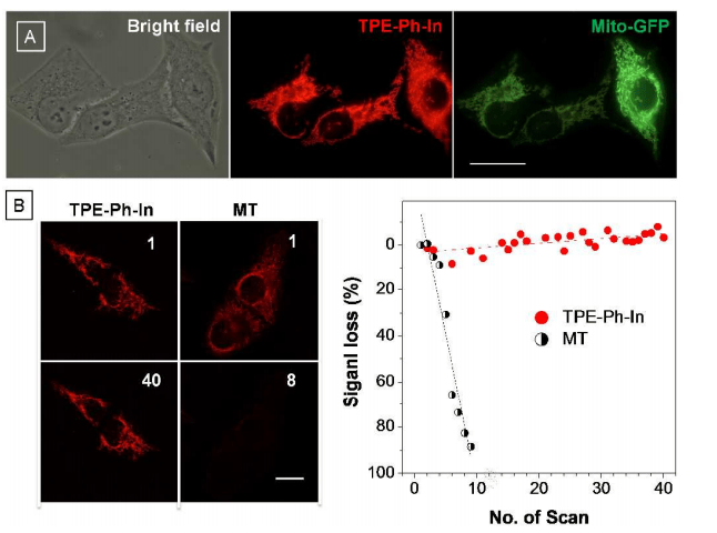 the|TPE-Ph-In；Cu-BTC；TB;近红外TPABDFN介绍-齐岳