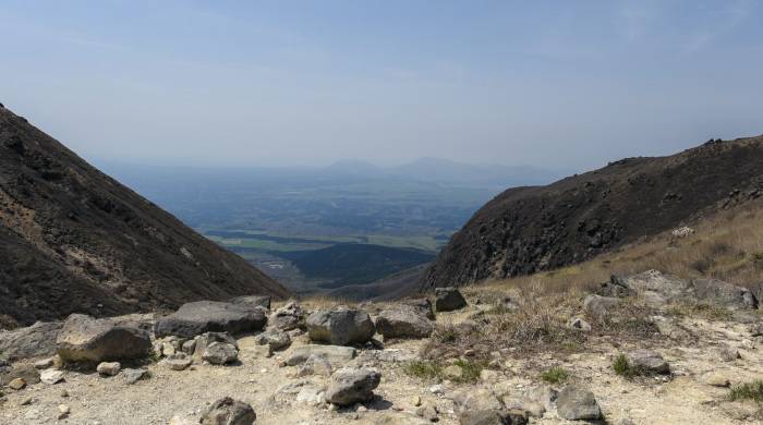 高端家电的专营化，未来会是经销商转型的突破口吗？-家电圈官网