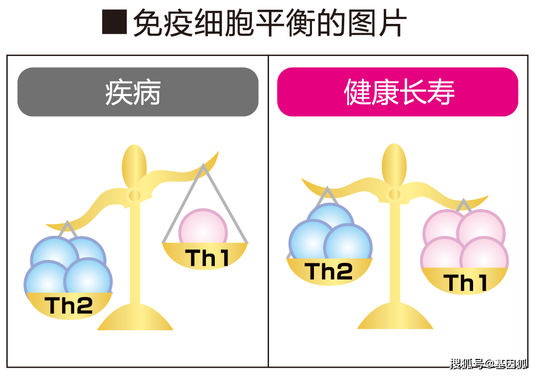 健康科普:細胞免疫與健康