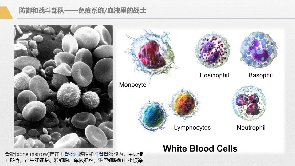 应用|胰腺癌综合治疗大讲堂-免疫治疗专讲主题活动回顾1