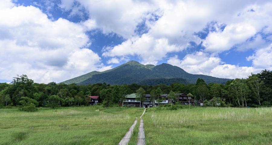 新一轮家电市场引爆窗口期已经到来!-家电圈官网