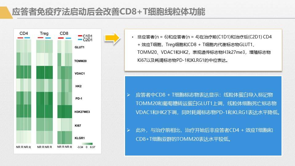 应用|胰腺癌综合治疗大讲堂-免疫治疗专讲主题活动回顾1