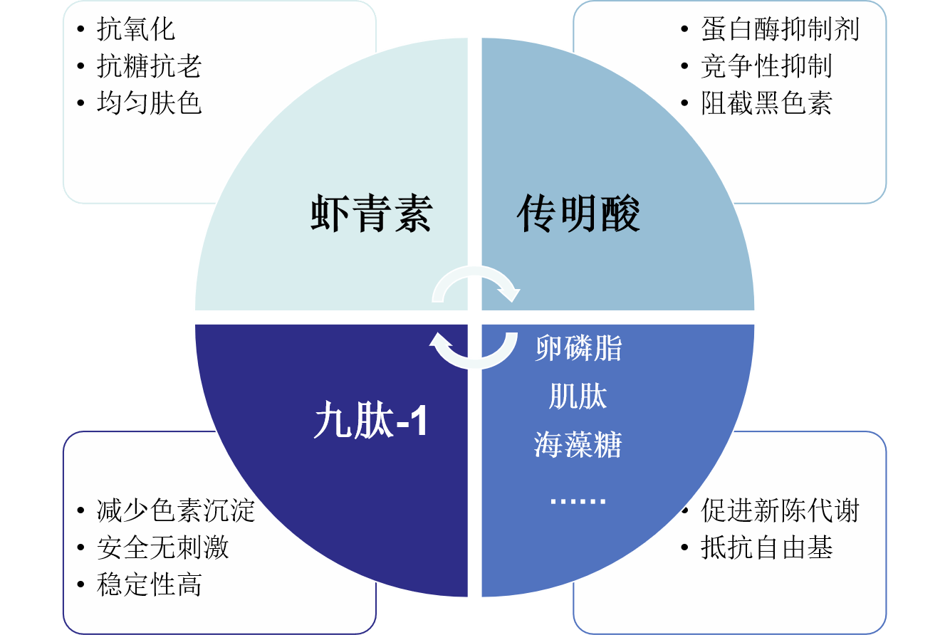 夏天|夏天来了，想让皮肤美白，你得知道这些~~