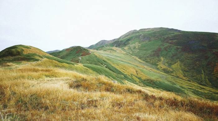 经销商给家电企业提出建议：做出好产品才是正道！-家电圈官网